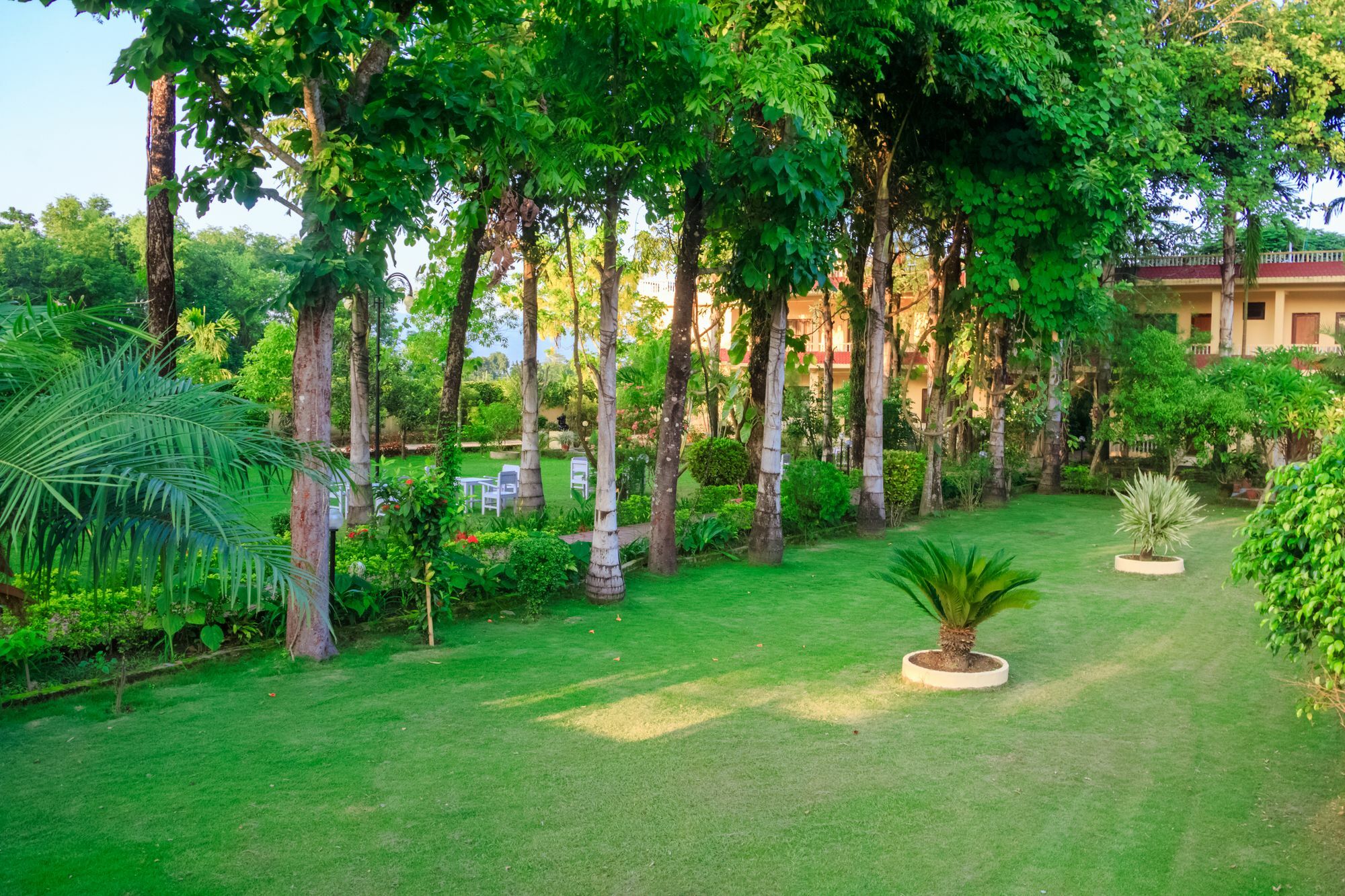 Hotel Rainforest Sauraha Eksteriør billede